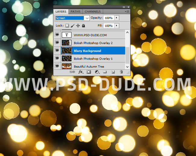 Add Bokeh To Photo In Photoshop