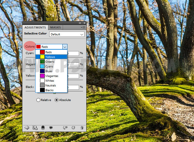 selective color in photoshop