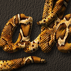 Create a Snake Leather Skin Text in Photoshop