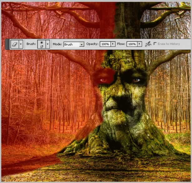 Tree Face Photoshop Tutorial