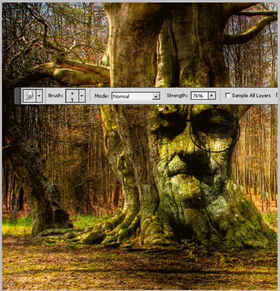 lost-princess-in-the-magic-forest tutorial intermediary image