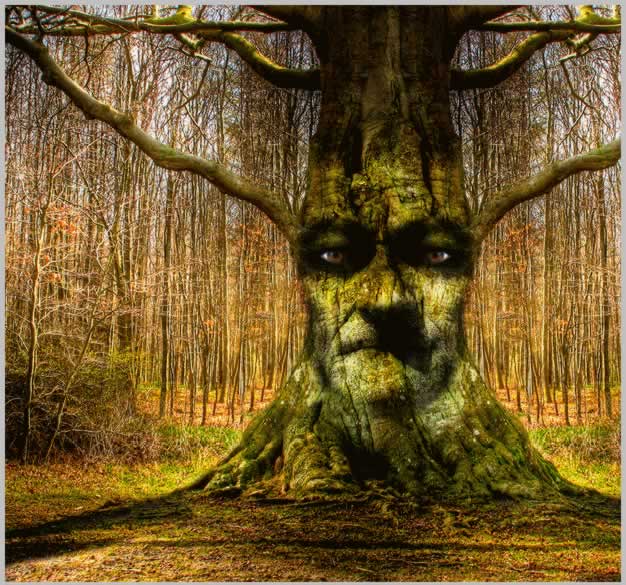 Tree Face Photoshop Tutorial