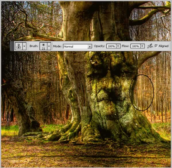 lost-princess-in-the-magic-forest tutorial intermediary image