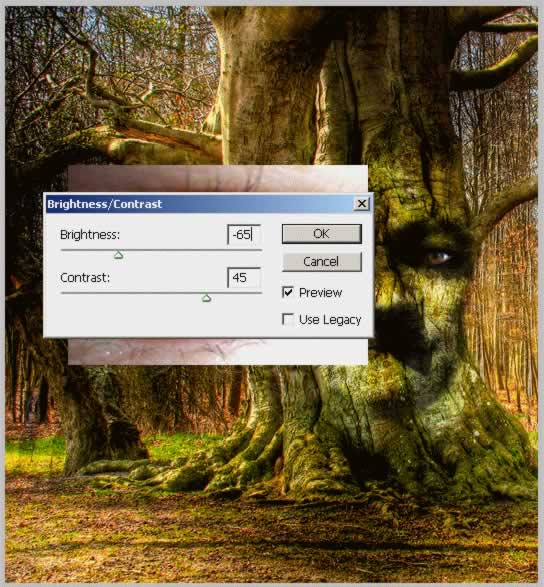 lost-princess-in-the-magic-forest tutorial intermediary image