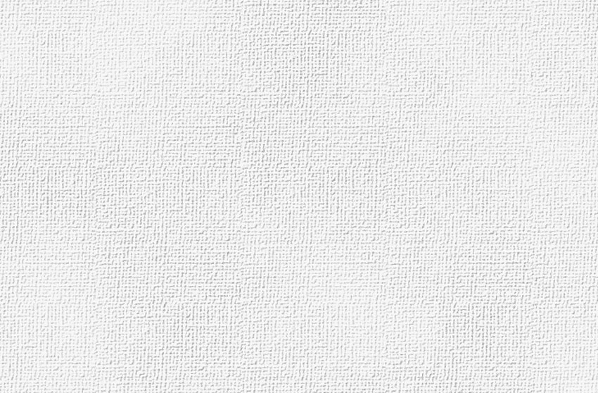 white canvas texture