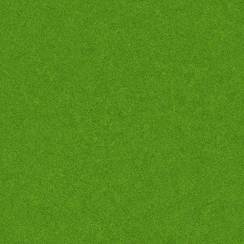 365 Grass
 Texture by zooboing photoshop resource collected by psd-dude.com from flickr