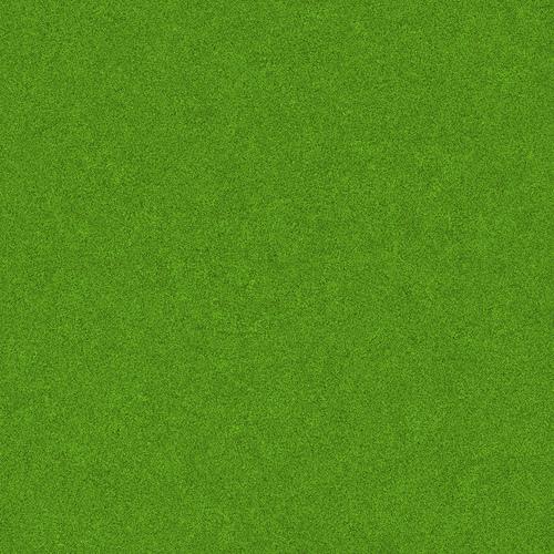 365 Grass
 Texture by zooboing photoshop resource collected by psd-dude.com from flickr