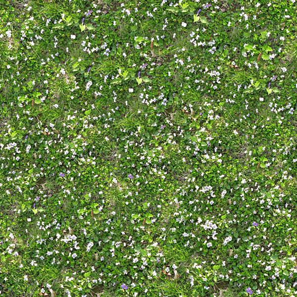 870 Lawn
 Seamless Texture by zooboing photoshop resource collected by psd-dude.com from flickr