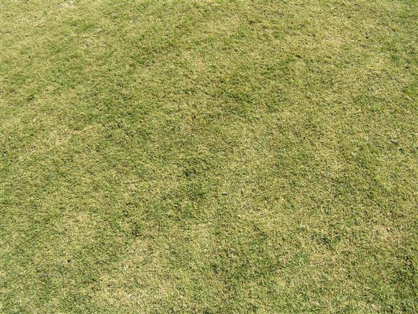Grass
is Grass by j-m-s photoshop resource collected by psd-dude.com from deviantart