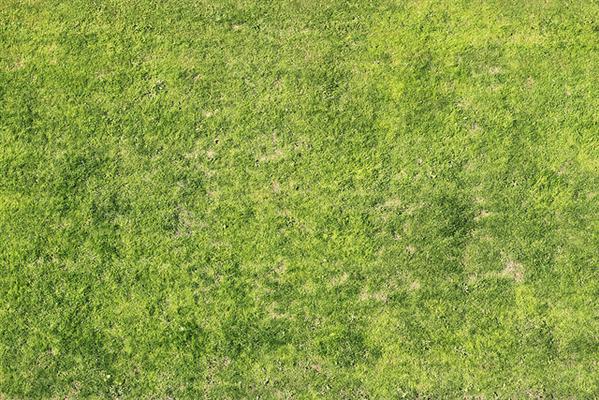 grass
 texture from 10 stories up by pixelbuffer photoshop resource collected by psd-dude.com from flickr