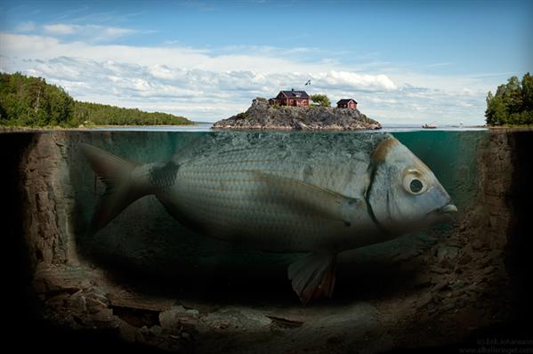 fishy
island by alltelleringet photoshop resource collected by psd-dude.com from deviantart