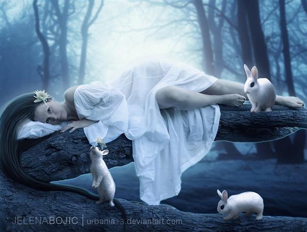 Purity White Rabbits Magic Forest