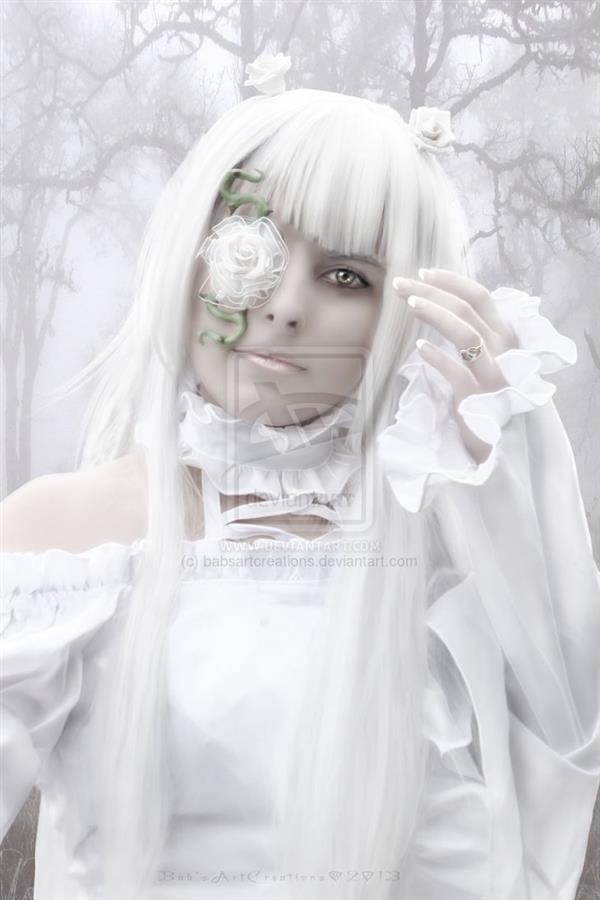 White Rose by babsartcreations photoshop resource collected by psd-dude.com from deviantart