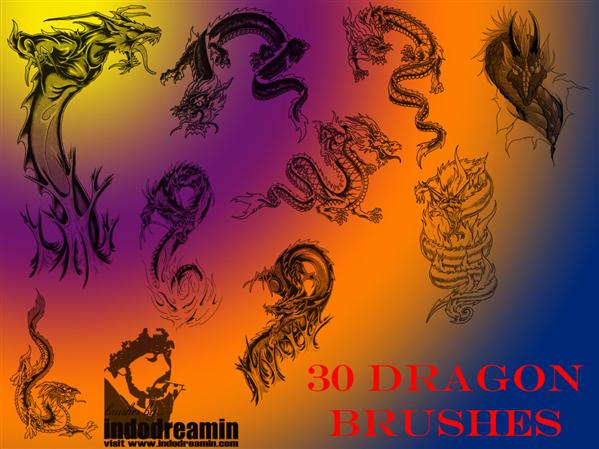 Dragon
Brushes by indodreamin photoshop resource collected by psd-dude.com from deviantart