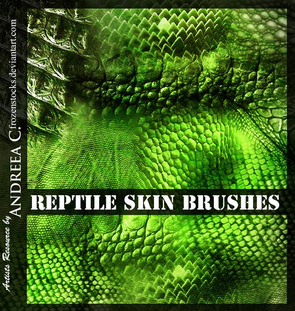 Reptile
Skins by frozenstocks photoshop resource collected by psd-dude.com from deviantart