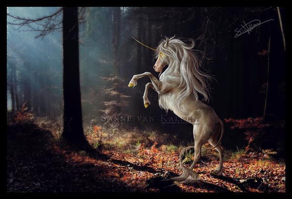 Forest Unicorn made in Photoshop