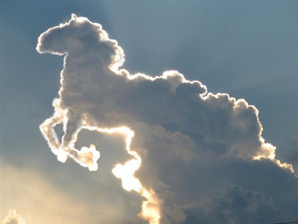 Sky Clouds Horse Manipulation