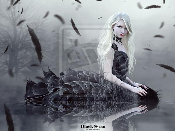 Black Swan on the Lake