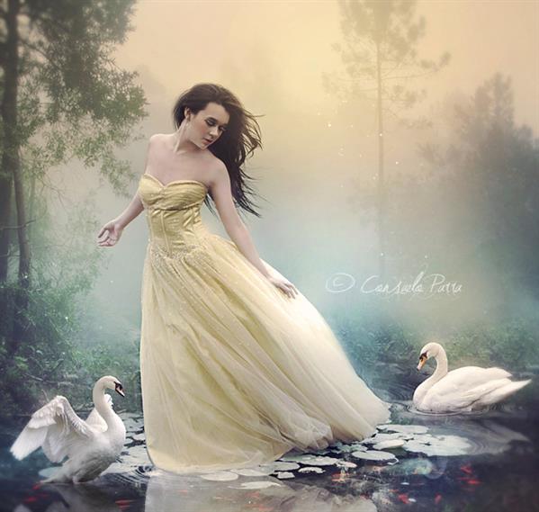 The Chant of Swans by Aeternum-Art photoshop resource collected by psd-dude.com from deviantart