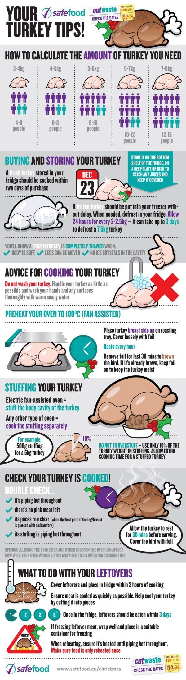 Turkey Tips Infographic for Xmas