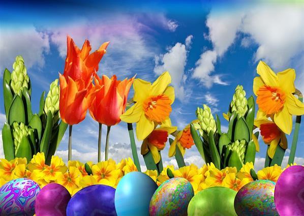 Beautiful Easter Background with Painted Eggs and Flowers
