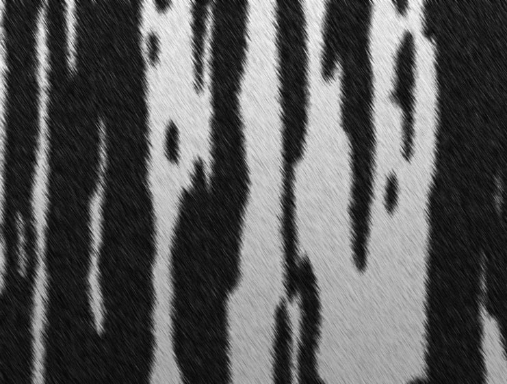 How To Make Zebra Pattern In Photoshop | create a zebra fur texture in photoshop from scratch How To Make Zebra Pattern In Photoshop | create a zebra fur texture in photoshop from scratch