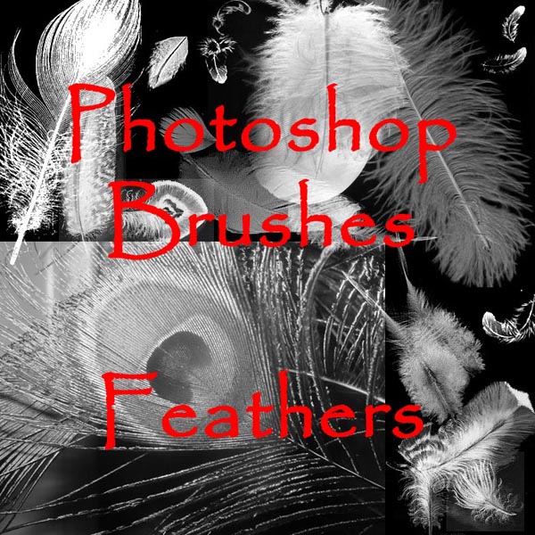 Photoshop
 Feather Brushes by vaia photoshop resource collected by psd-dude.com from deviantart