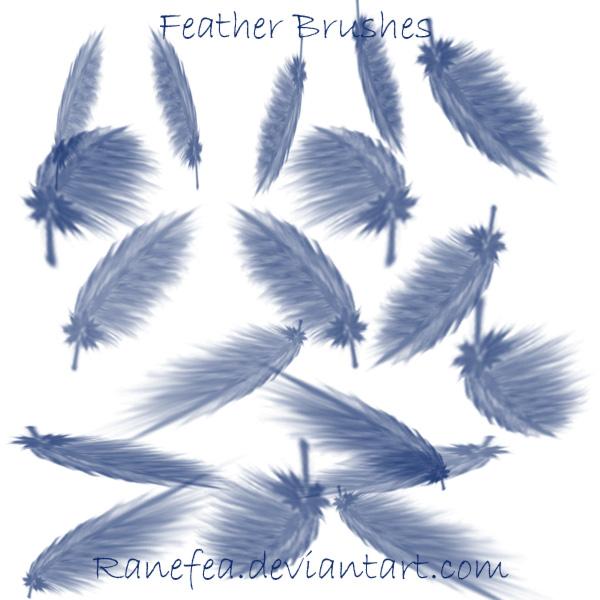 Feather
 Brushes by Ranefea photoshop resource collected by psd-dude.com from deviantart