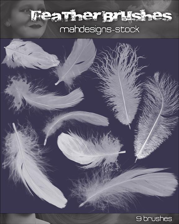 feather
 brushes by mahdesigns-stock photoshop resource collected by psd-dude.com from deviantart