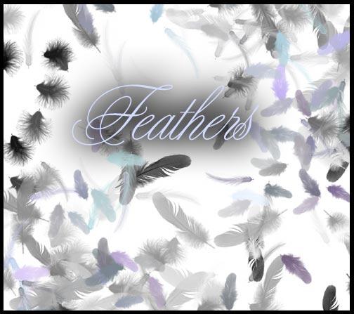 Feather
 Brushes by shadowsmyst photoshop resource collected by psd-dude.com from deviantart