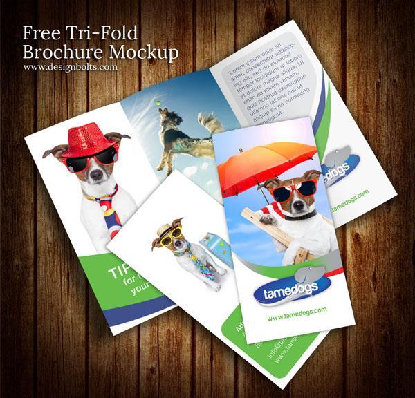 Tri fold Brochure PSD Template