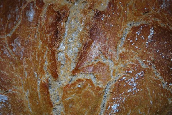 Bread Crust Texture