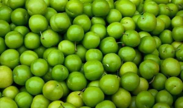 Green Plums Fruit Texture