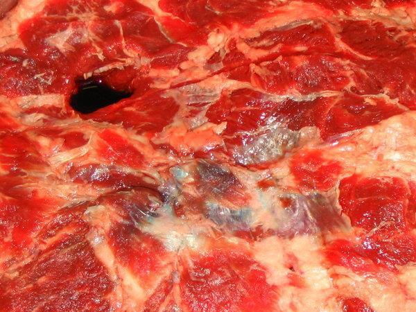 Raw Meat Flesh Texture