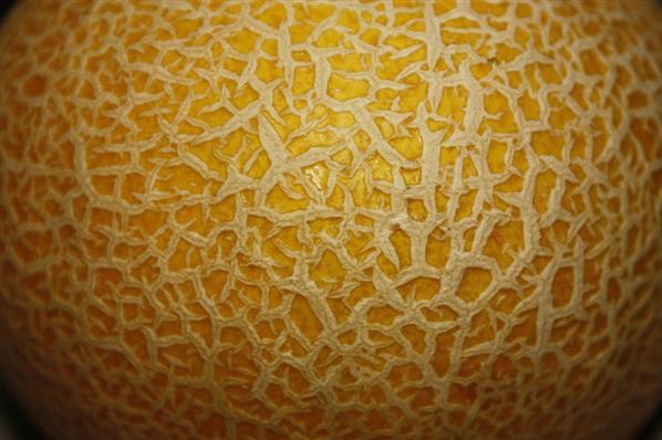 Yellow Melon Skin Texture