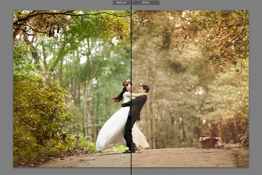 Lightroom preset #4: Toning Colors