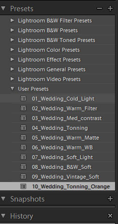 lightroom user presets panel