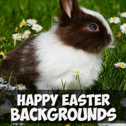 <span class='searchHighlight'>Easter</span> Backgrounds Free Download psd-dude.com Resources
