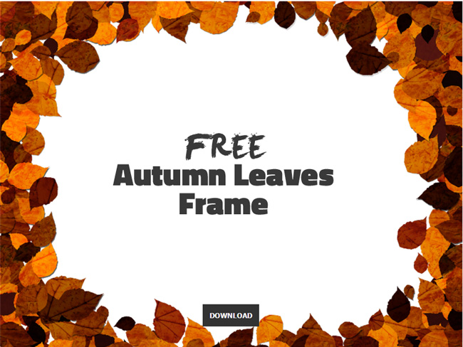 Autumn Leaves Background PNG Free Texture