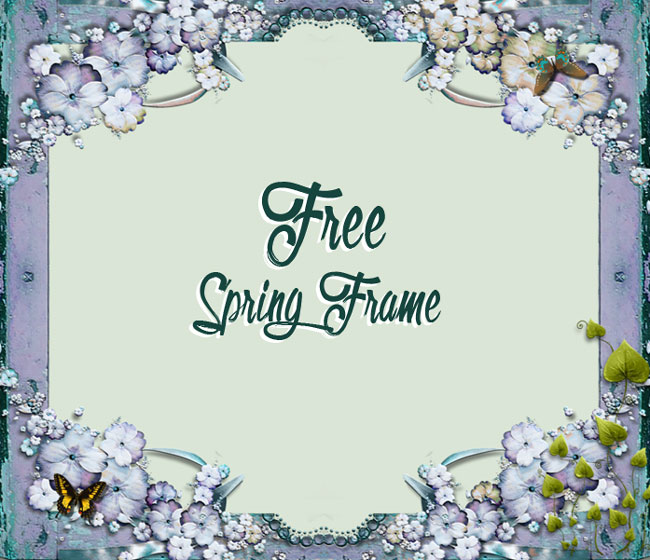 Butterfly Frame PNG Background