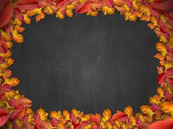 Free Autumn Leaf Border Frame with Chalkboard Texture Background