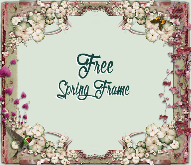 Hummingbird and Butterfly PNG Background Free