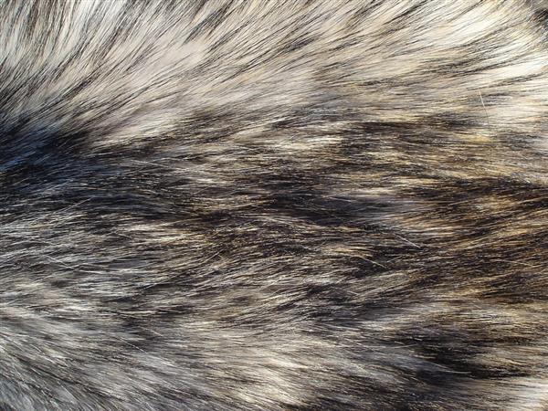 Cat Fur Texture Freebie