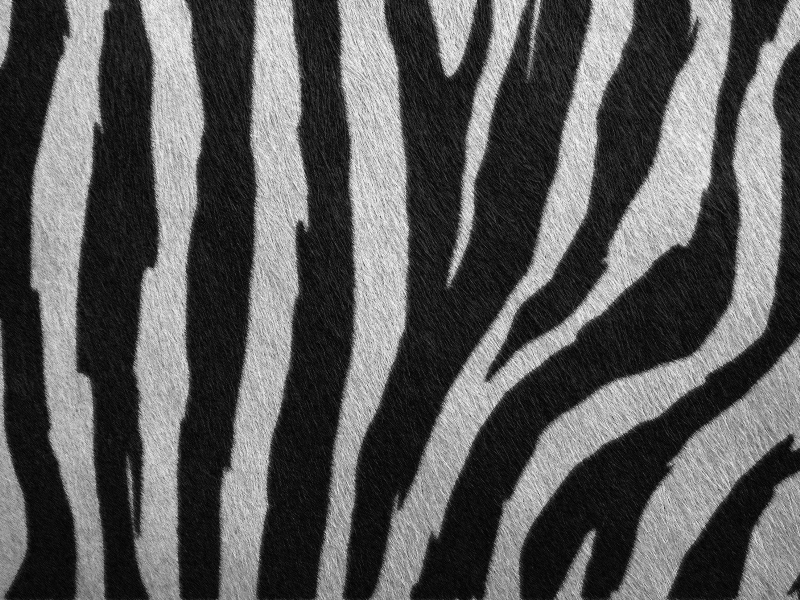 Free Zebra Fur Skin Texture