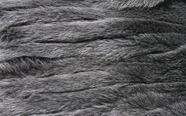 Fur Texture 10 by BFstock photoshop resource collected by psd-dude.com from deviantart