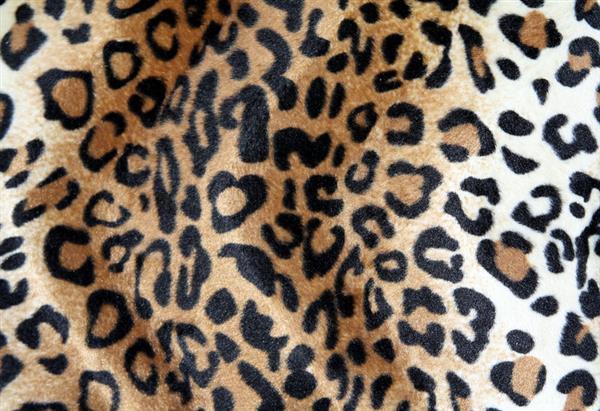 Leopard fabric texture free