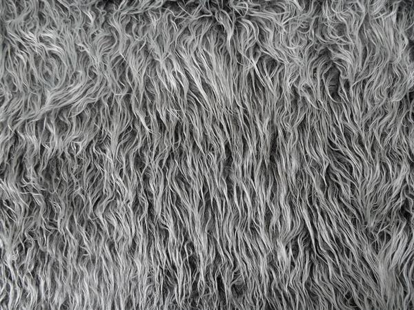 Shaggy Fur stock texture