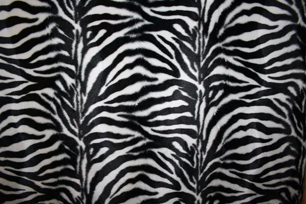 Texture Animal Print Zebra