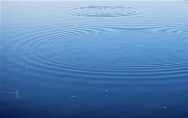 Ripple Rings Water Surface Texture