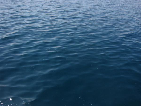 Sea Water Surface